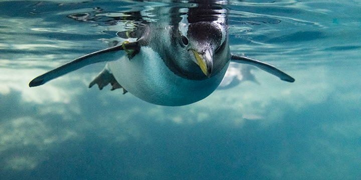Zoo Basel